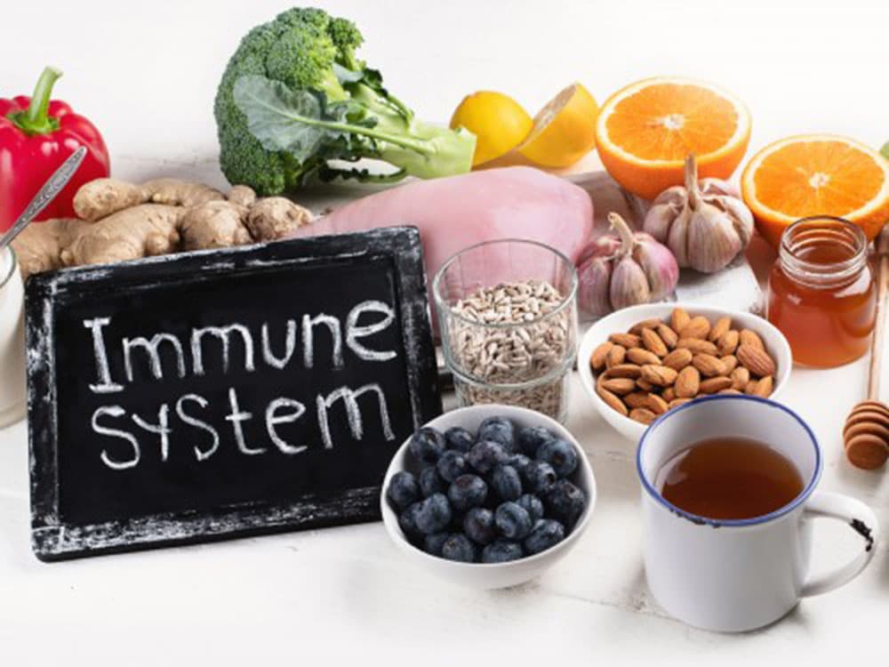 immune system